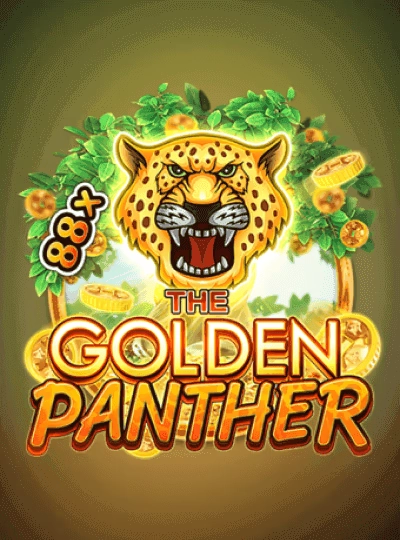 Bangladesh Tigers cricket betting cover